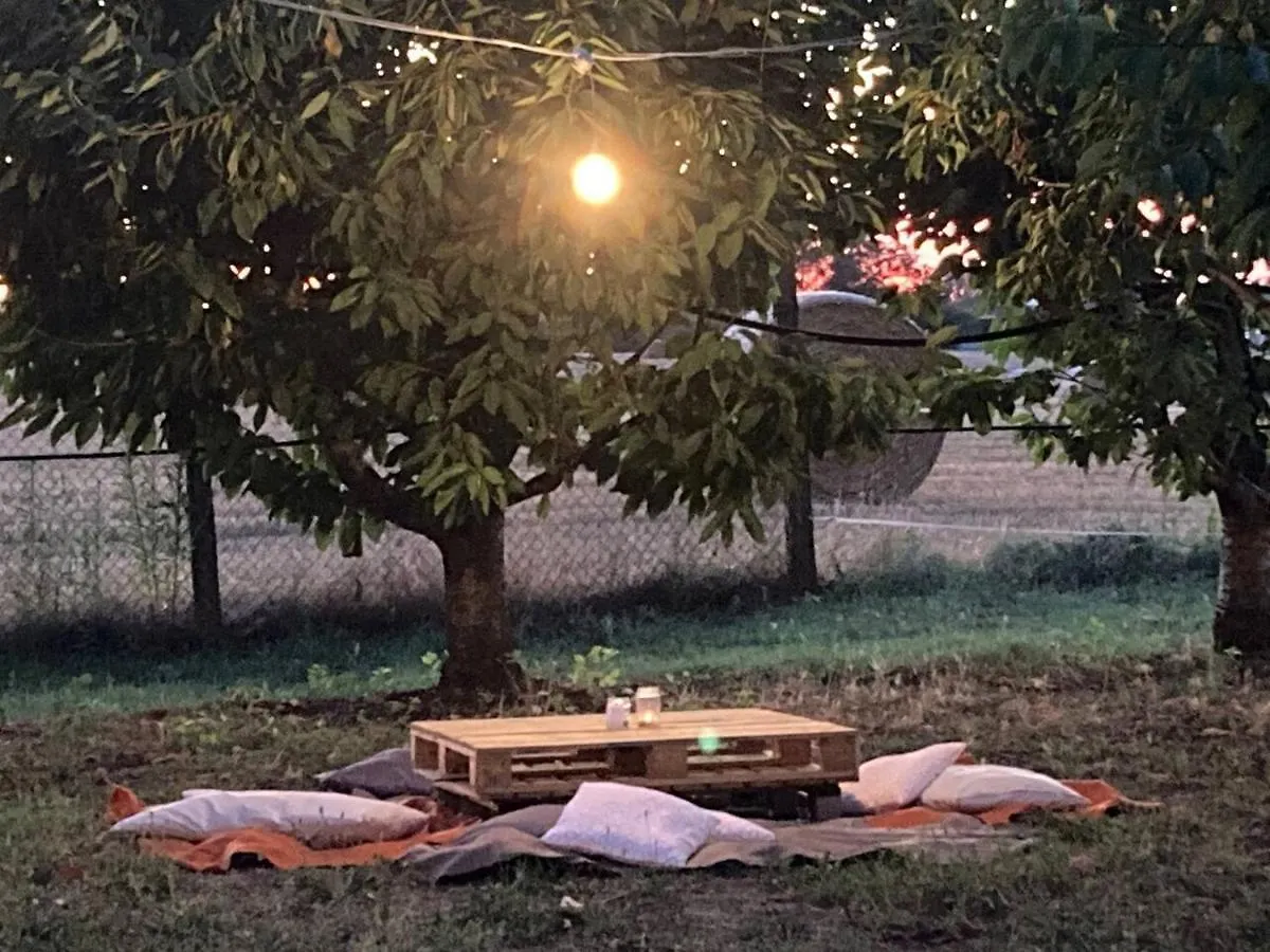 Home Shanti, Relax Tra I Ciliegi Crespellano