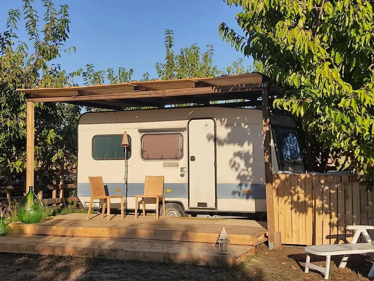 Glamping Home Shanti, Relax Tra I Ciliegi Crespellano