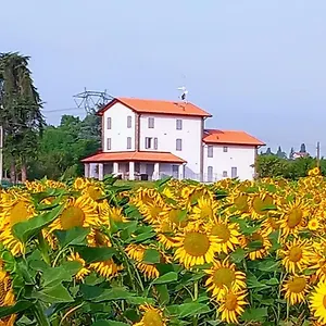 Bed & Breakfast La Collinetta, Crespellano